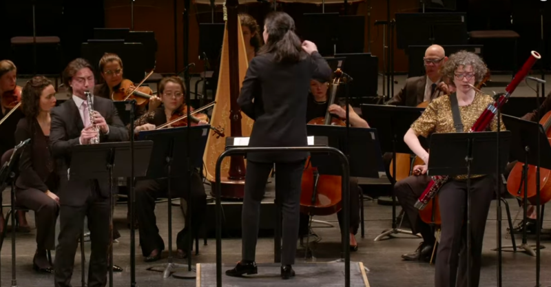 STRAUSS : Double concertino pour clarinette et basson – Extrait #1