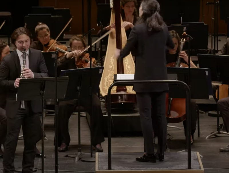 STRAUSS : Double concertino pour clarinette et basson – Extrait #3