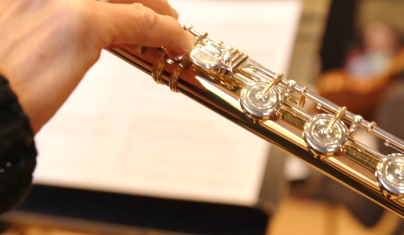 Ludwig’s Resonance — Premiers ateliers à l’Institut Pasteur